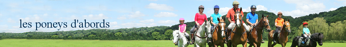 les poneys d'abords